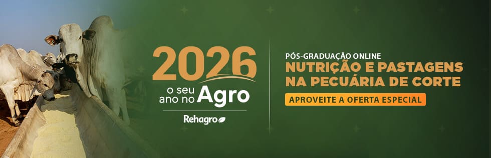 Clique e saiba mais sobre o curso! Campanha recesso PNC