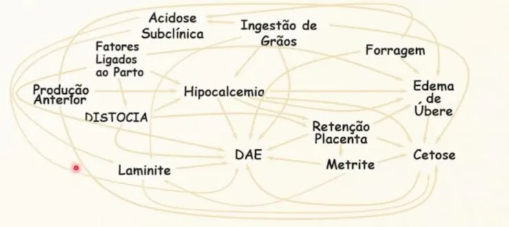 Relação entre algumas doenças metabólicas no período de transição