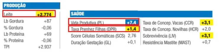 Dados sobre produção e saúde para seleção de touros