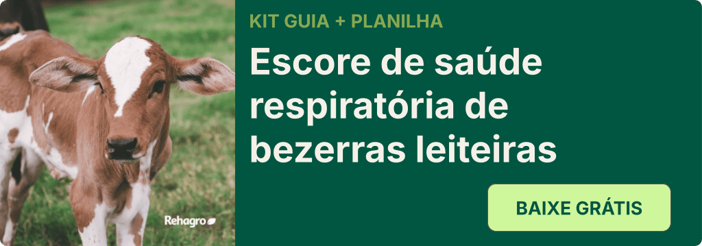 Planilha e guia de escore de saúde respiratória de bezerras leiteiras