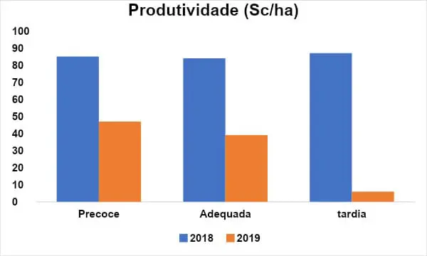 Gráfico 1 – Produtividade da lavoura 2013