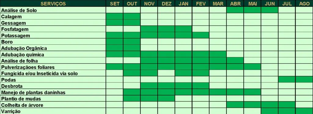 Cronograma de serviços
