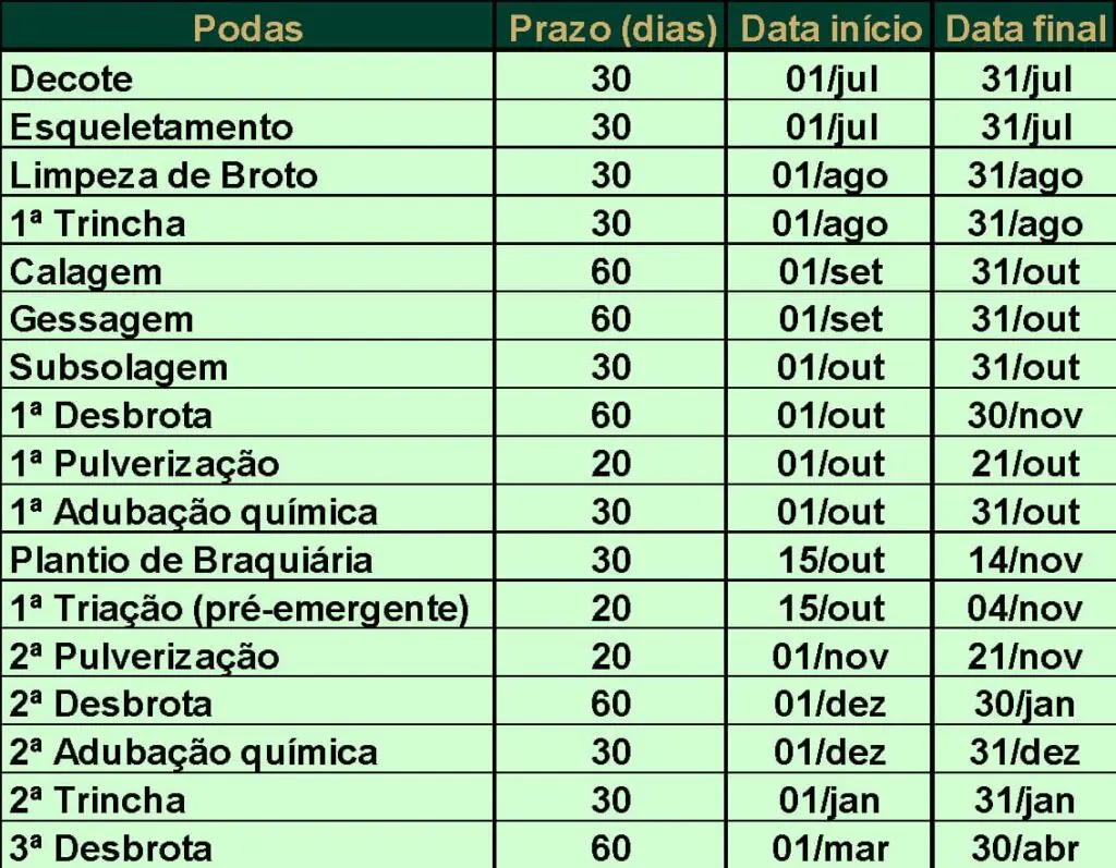 Exemplo de cronograma detalhado com algumas das atividades que são executadas em lavoura do modelo de manejo poda