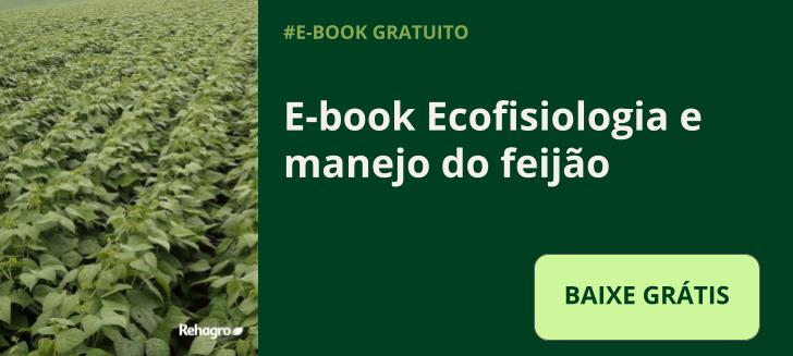 E-book Ecofisiologia e manejo do feijão
