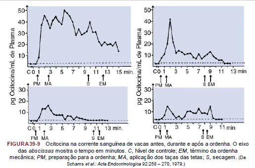 Gráficos mostrando ocitocina na corrente sanguínea de vacas antes, durante e após a ordenha