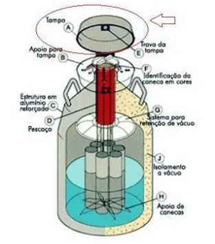 Estrutura do botijão de sêmen