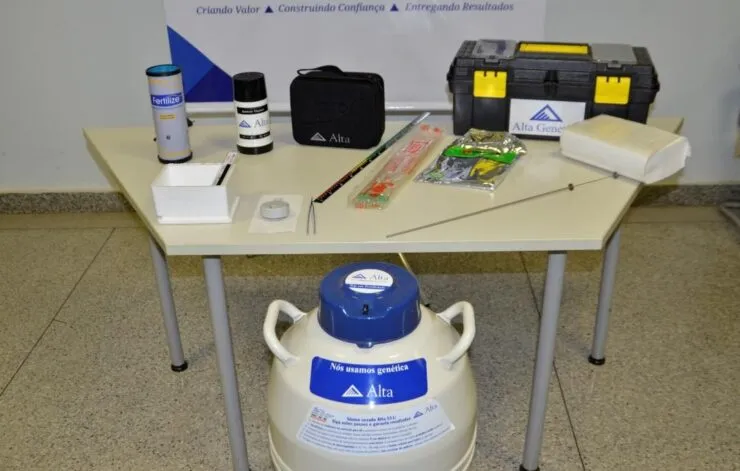 Preparação do material para a inseminação
