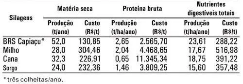 Tabela com custo de produção da matéria seca e de nutrientes das silagens