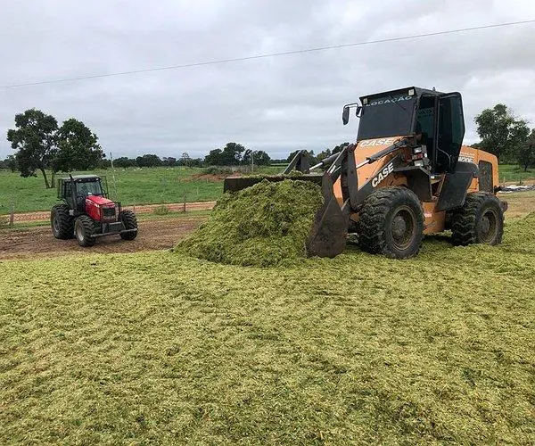Imagem da produção de silagem de capim