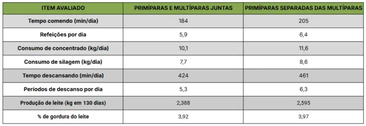 Tabela comparando quando vacas primíparas e multíparas estão juntas e quando estão separadas