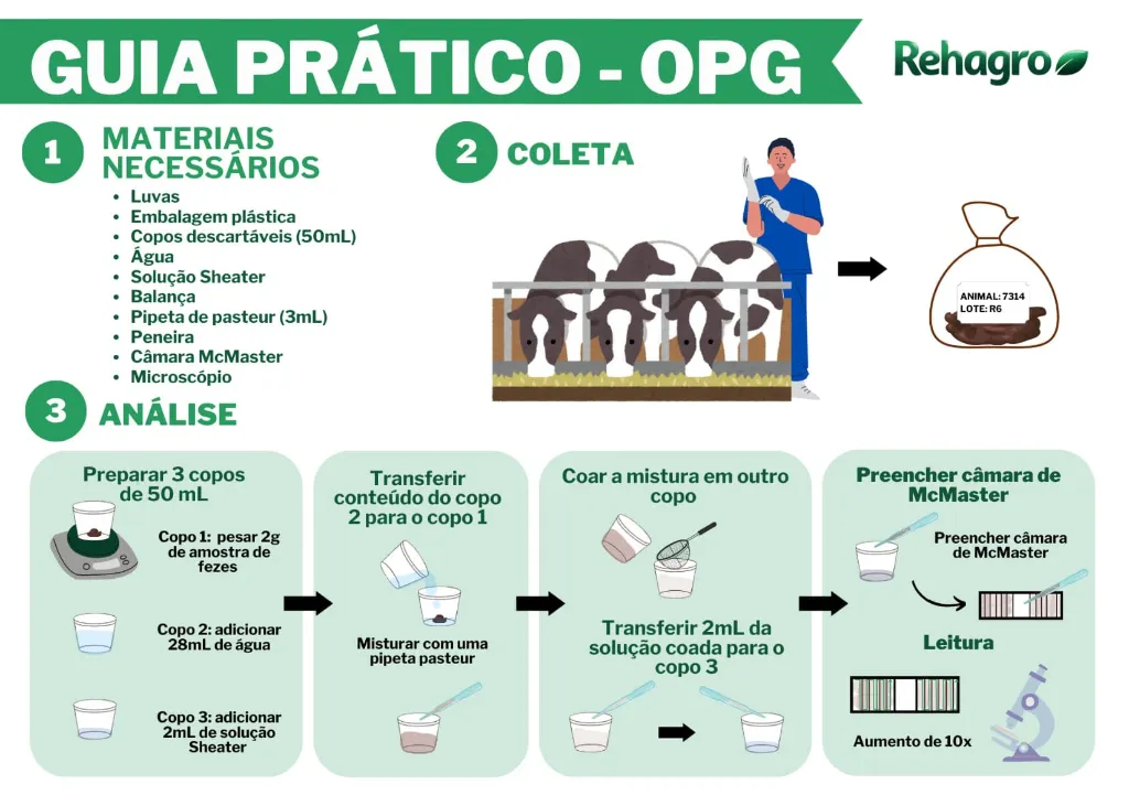 Guia prático para teste de OPG