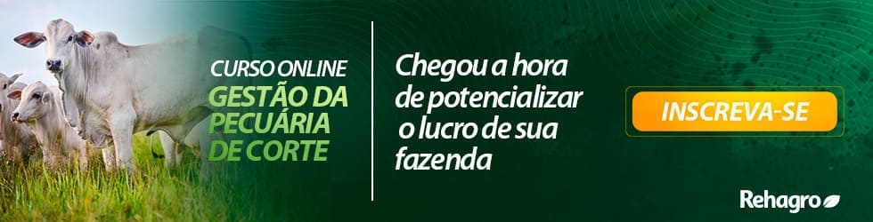 Curso Gestão da Pecuária de Corte