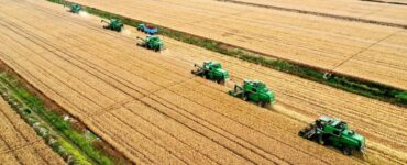 Commodities agrícolas - Lavoura de soja