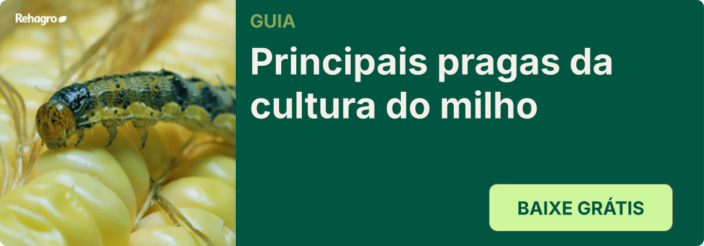 Guia Principais pragas do milho