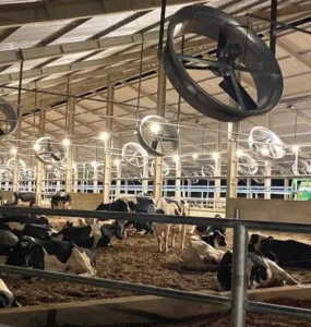 Sistema de compost barn