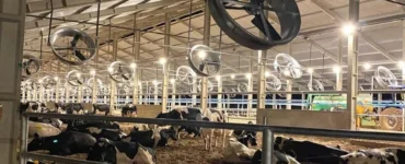 Sistema de compost barn