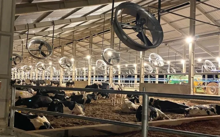 Sistema de compost barn