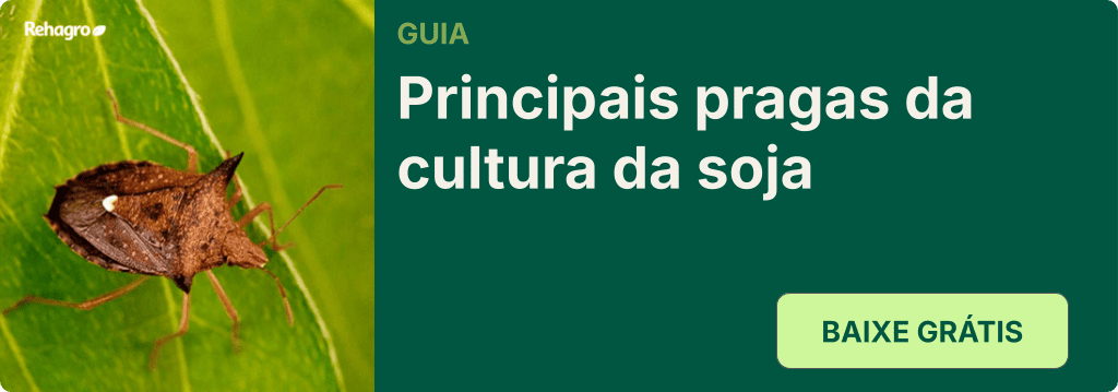 Guia Principais doenças da soja