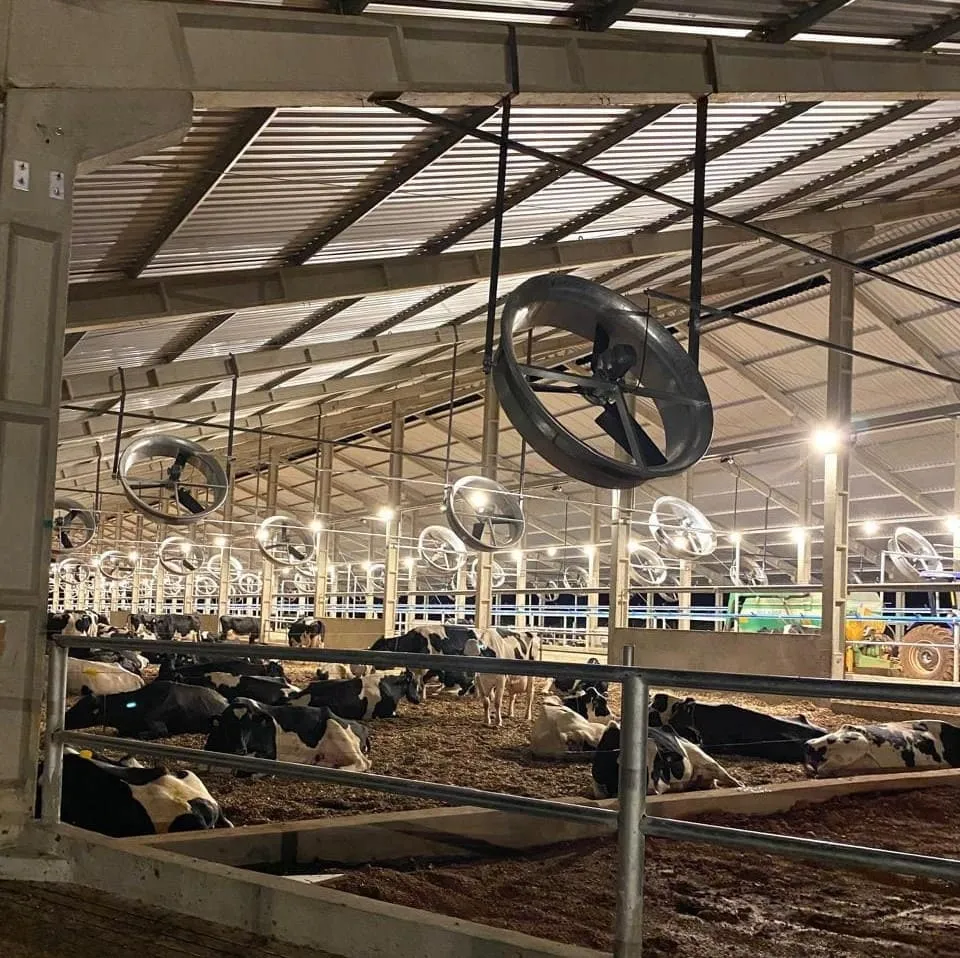 Barracão de compost barn