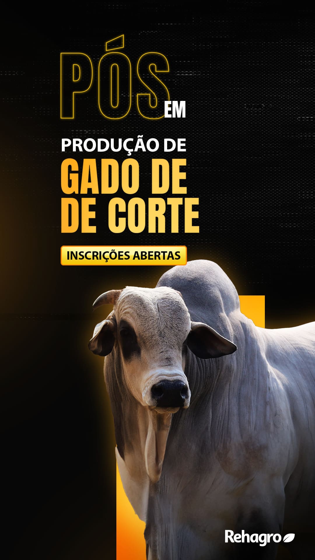 Banner Pós-graduação em Produção de Gado de Corte