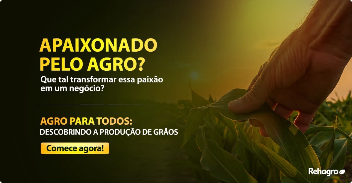 Curso Descobrindo a Produção de Grãos