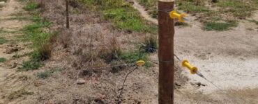 Cerca elétrica na pecuária de corte
