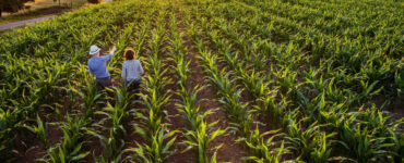 Duas pessoas do agronegócio em uma lavoura