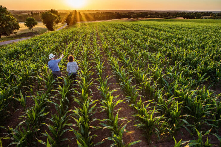 Duas pessoas do agronegócio em uma lavoura