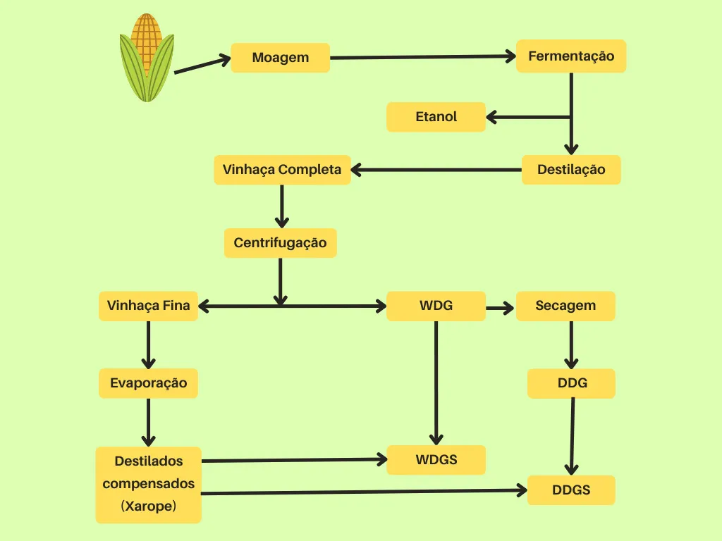 Esquema mostrando como produz o DDG