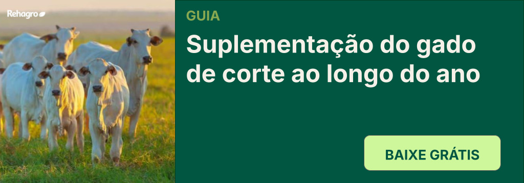Guia Suplementação do Gado de Corte ao longo do ano