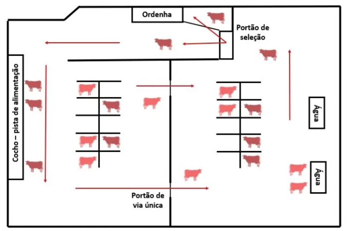 Tráfego adaptado com uso da água