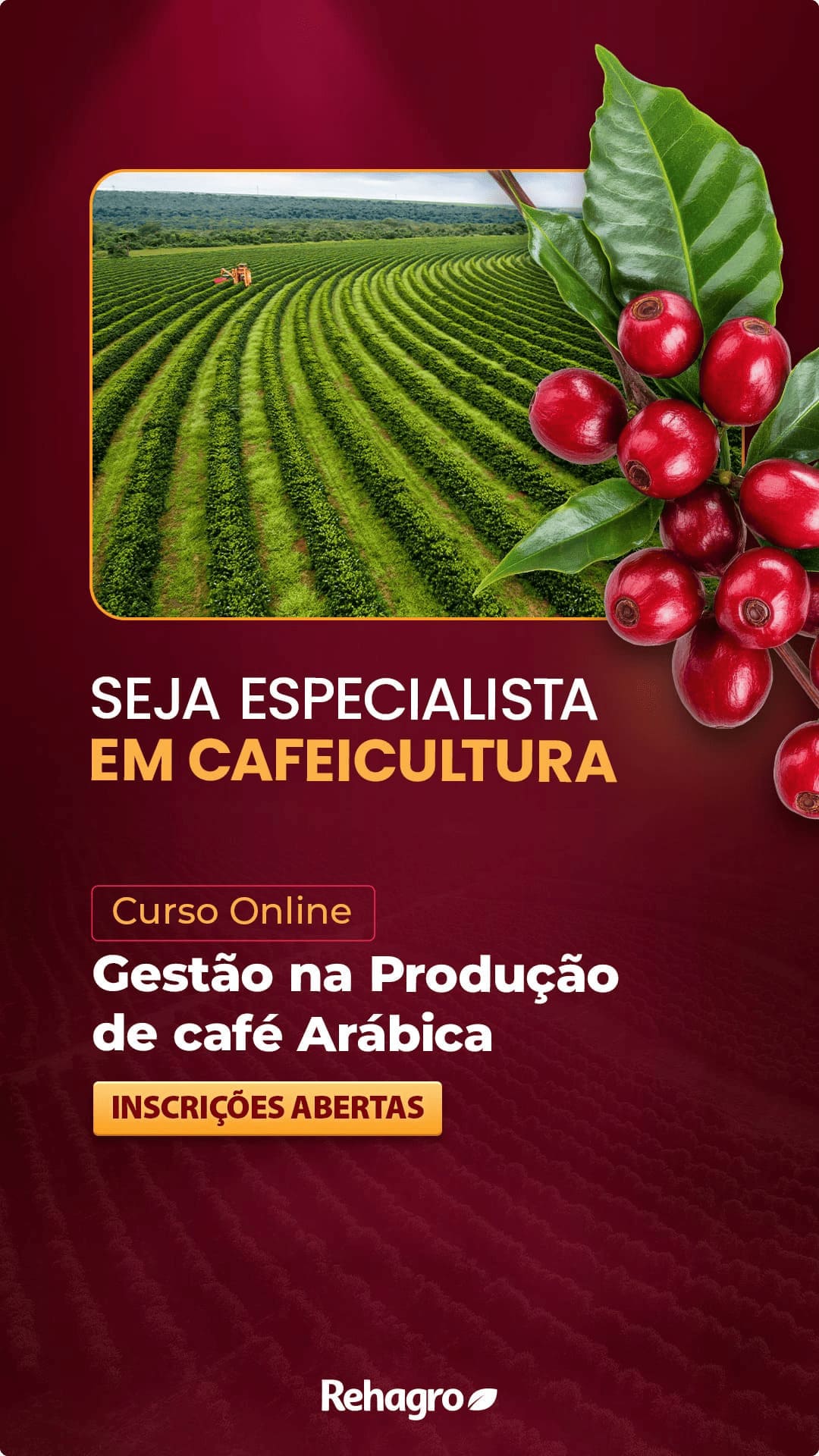 Curso Gestão na Produção de Café Arábica