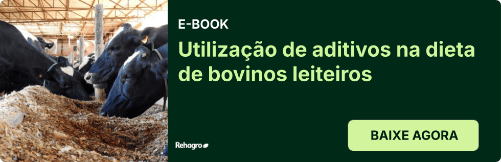 Clique e baixe o e-book grátis! E-book Aditivos na dieta de bovinos leiteiros