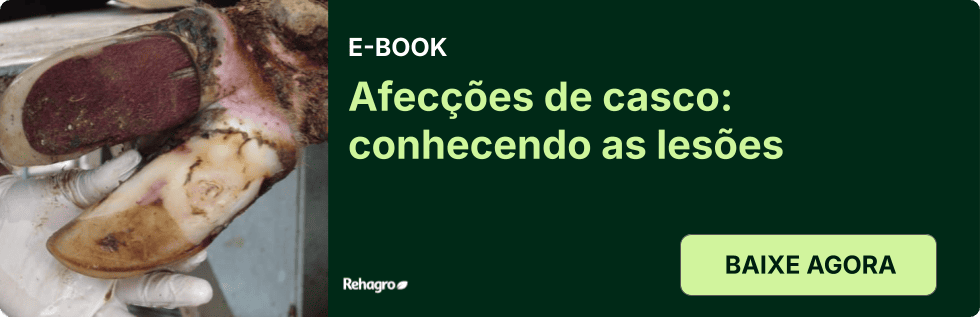 Clique e baixe o e-book grátis! E-book Afecções de casco