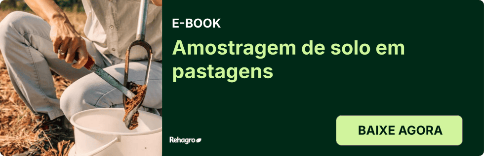 E-book Amostragem de solo em pastagens