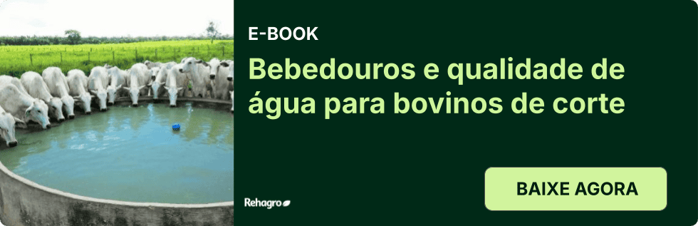 E-book Bebedouros e qualidade de água para bovinos