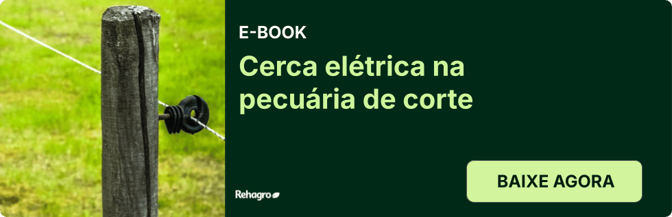 Clique e baixe o e-book grátis! E-book Cerca elétrica