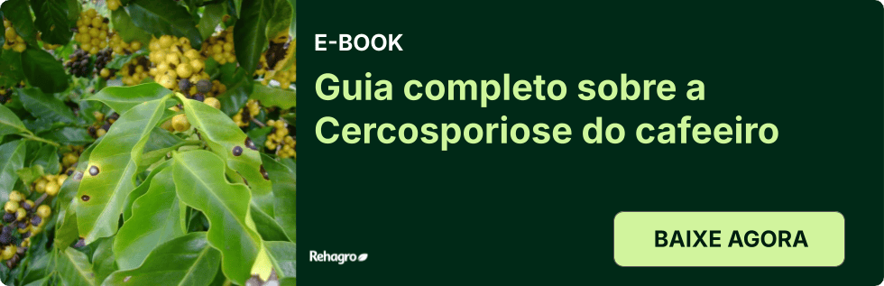 Clique e baixe o e-book grátis! E-book Cercosporiose