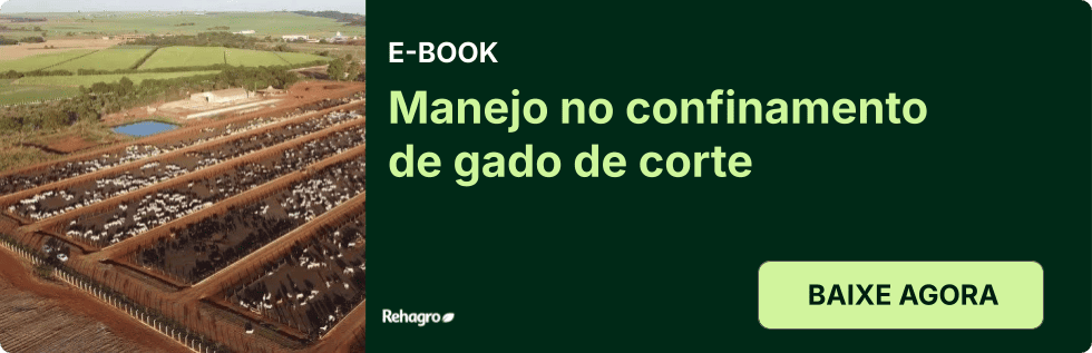 E-book Confinamento de gado de corte