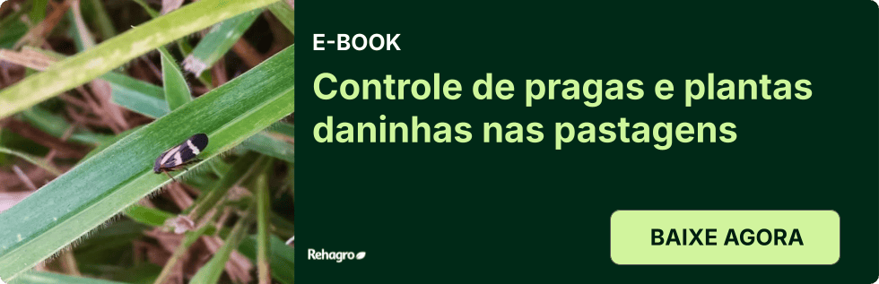 E-book Controle de pragas e plantas daninhas nas pastagens