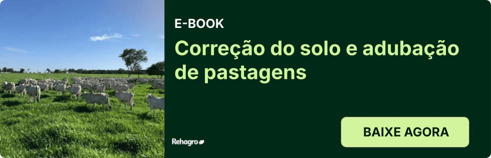 Clique e baixe o e-book grátis! E-book Correção do solo e adubação de pastagens
