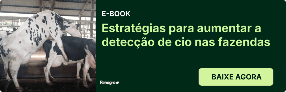 E-book Detecção de cio