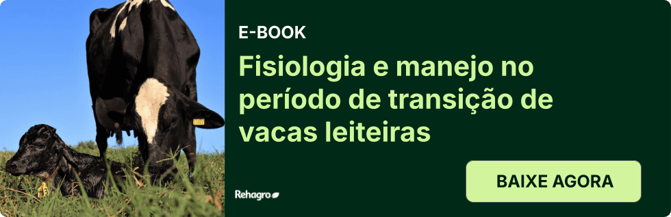 Clique e baixe o e-book grátis! E-book Período de transição de vacas leiteiras