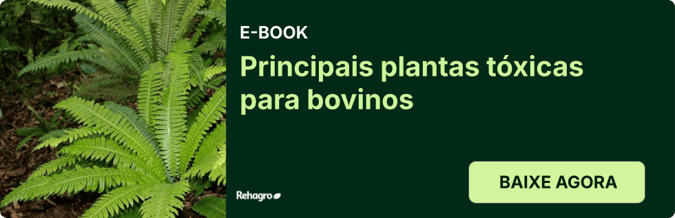 Clique e baixe o e-book grátis! E-book Plantas tóxicas para bovinos