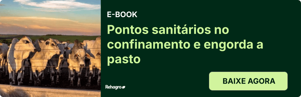 Clique e baixe o e-book grátis! E-book Pontos sanitários no confinamento