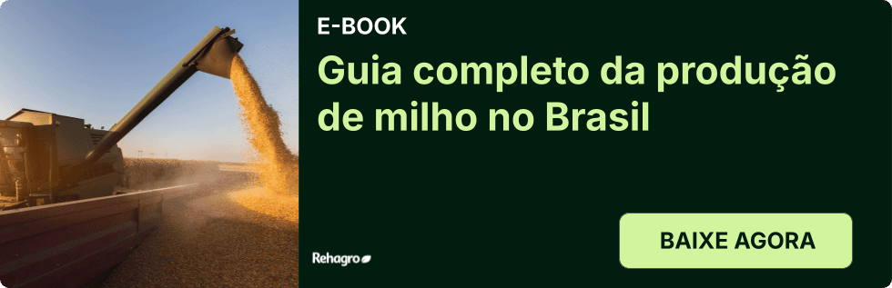 E-book Produção de milho no Brasil
