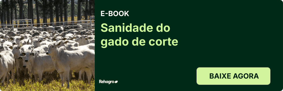 Clique e baixe o e-book grátis! E-book Sanidade do gado de corte