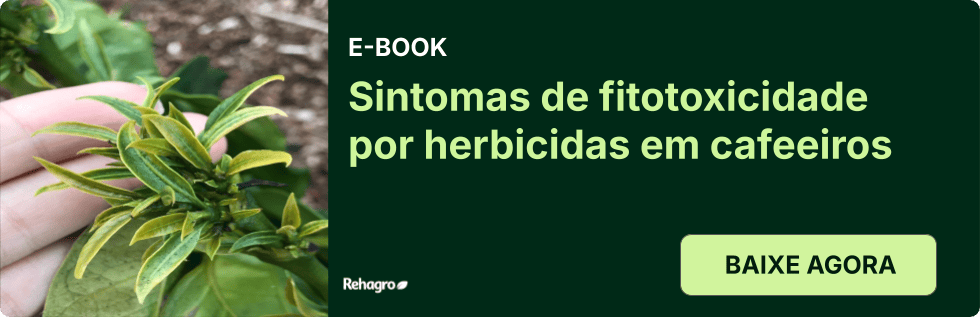 Clique e baixe o e-book grátis! E-book Sintomas fitotoxicidade
