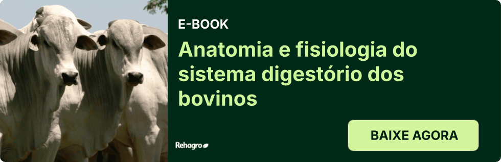 Clique e baixe o e-book grátis! E-book Sistema Digestivo dos bovinos