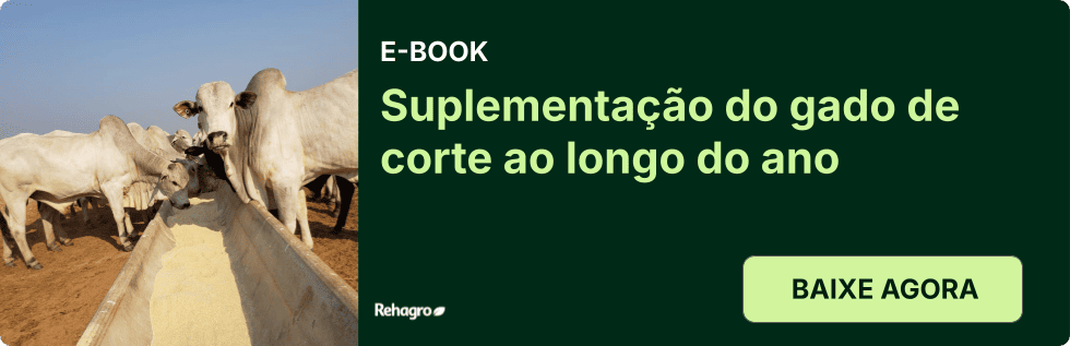 E-book Suplementação do gado de corte
